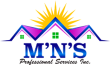MNS Professional Services Inc.